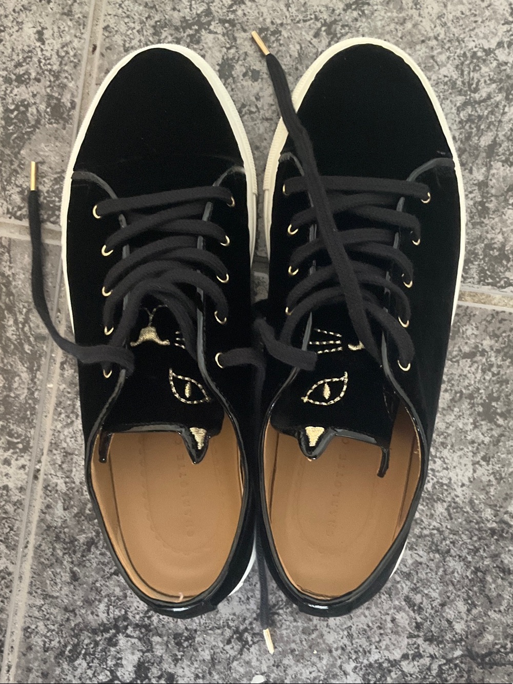 Charlotte Olympia Black Velvet Cat-Eye Lace-Up Sneakers with Gold Trim